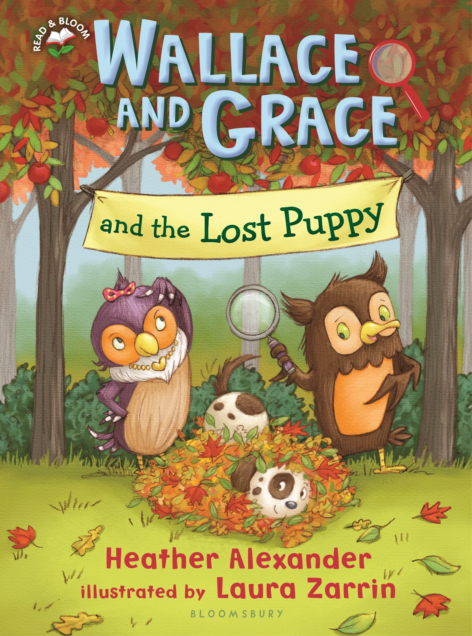 Wallace and Grace and the Lost Puppy,Used