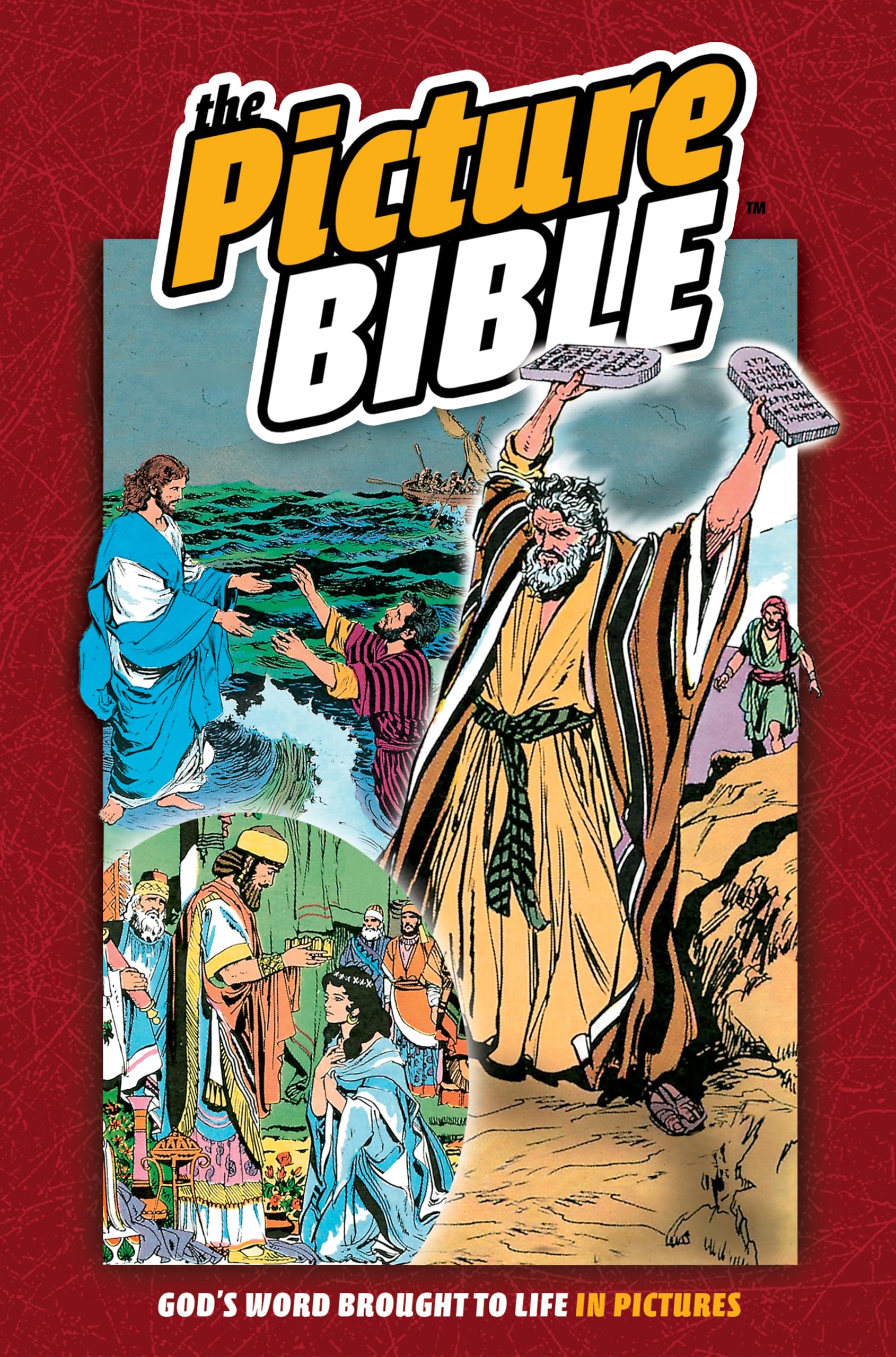 The Picture Bible,Used