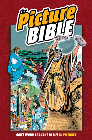 The Picture Bible,Used