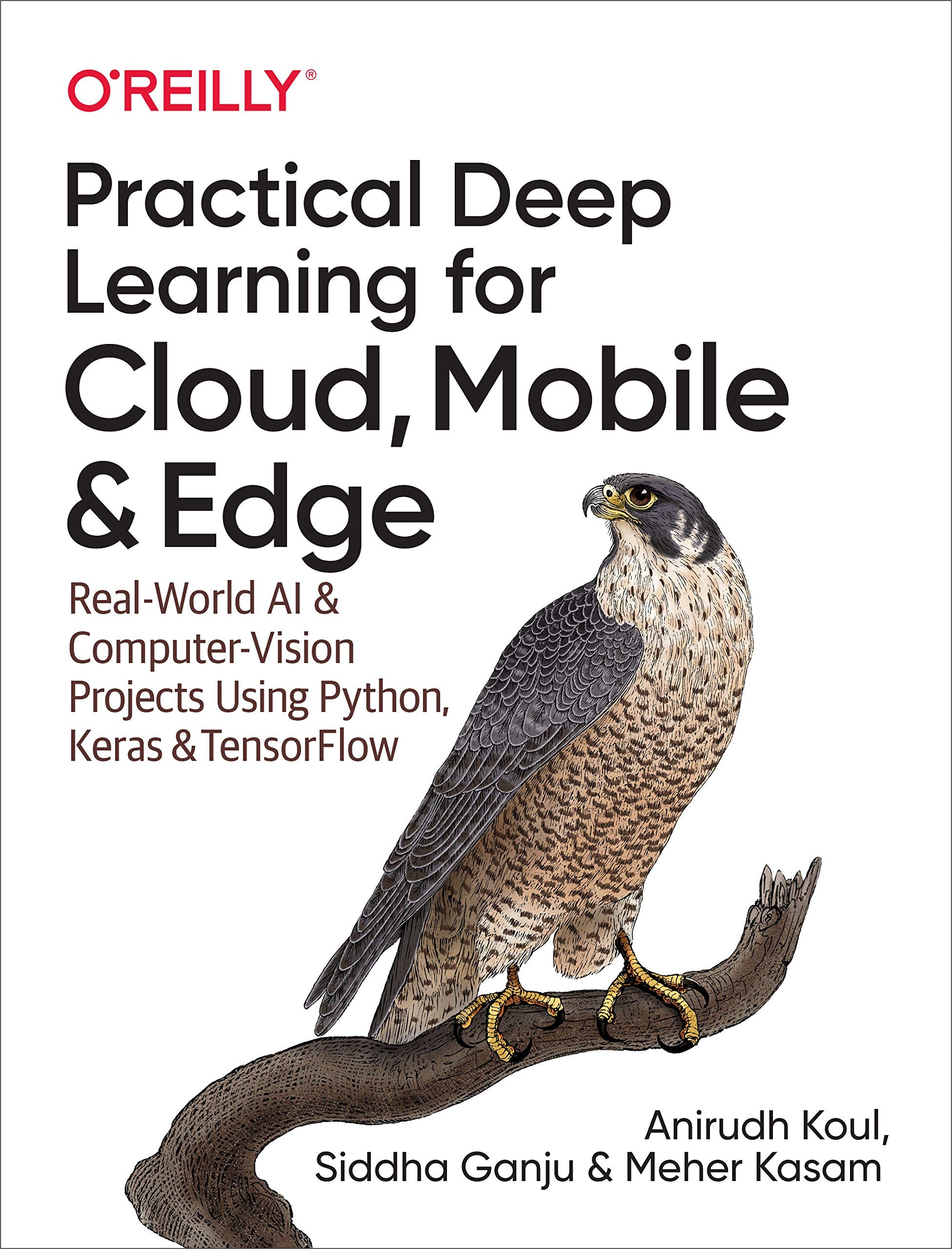 Practical Deep Learning For Cloud, Mobile, And Edge: Realworld Ai & Computervision Projects Using Python, Keras & Tensorflow,New