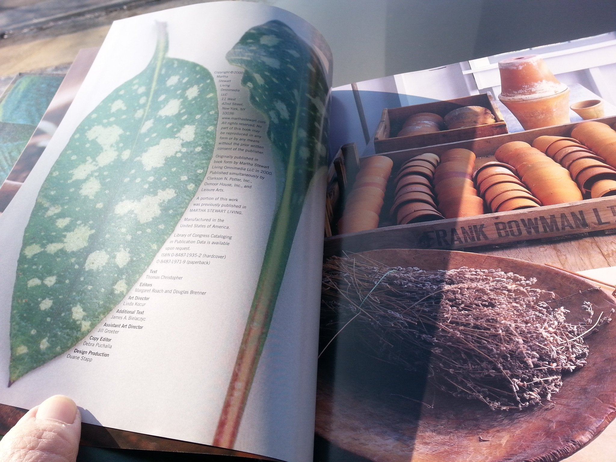 Gardening 101: Learn How to Plan, Plant, and Maintain a Garden (The Best of Martha Stewart Living),Used