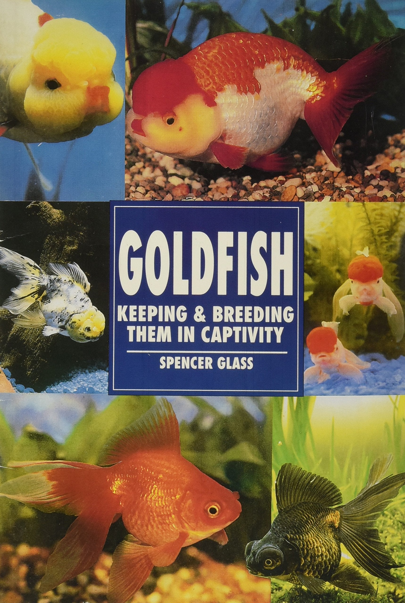 The Guide to Owning Goldfish,Used