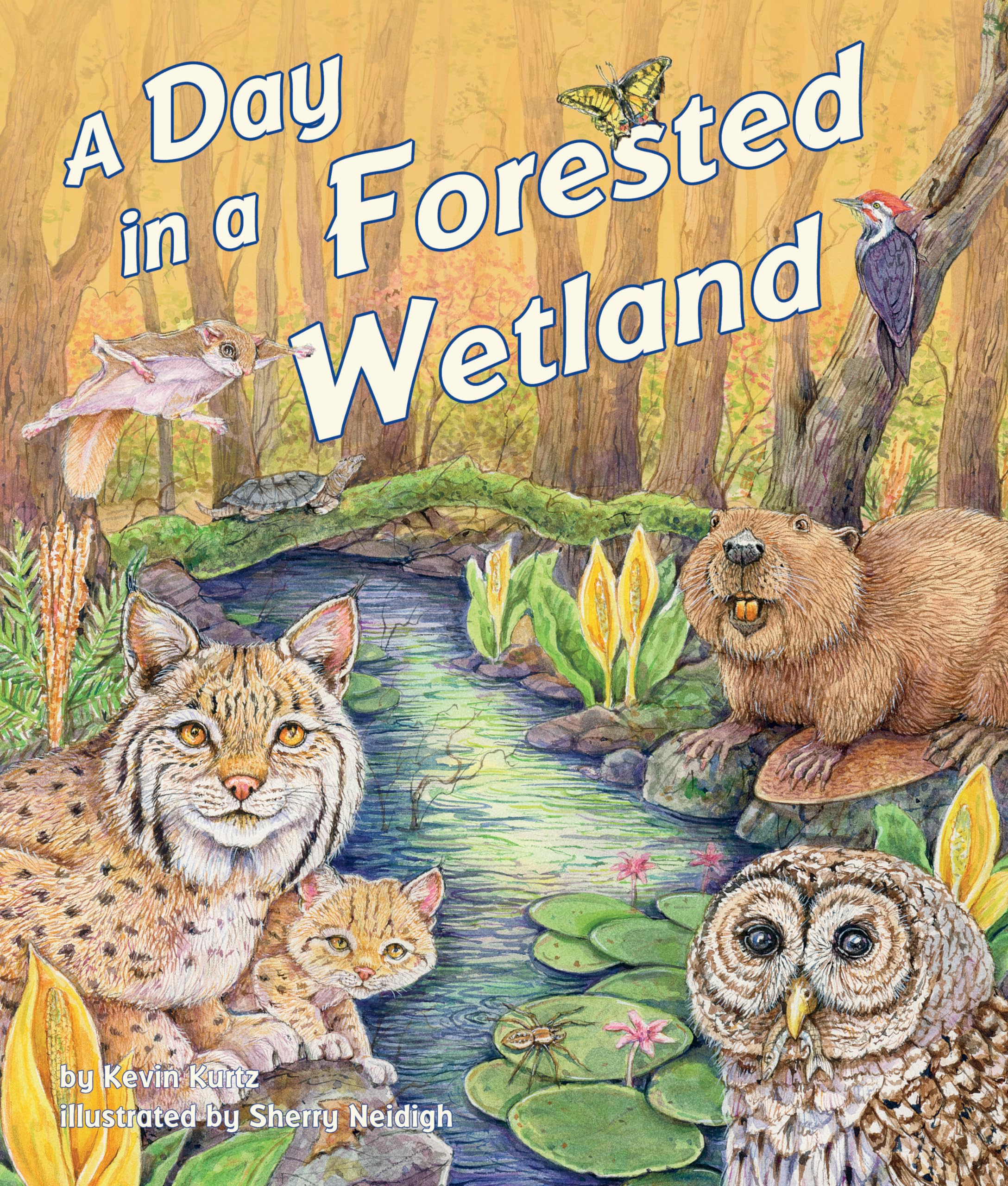 A Day in a Forested Wetland (Arbordale Collection),Used