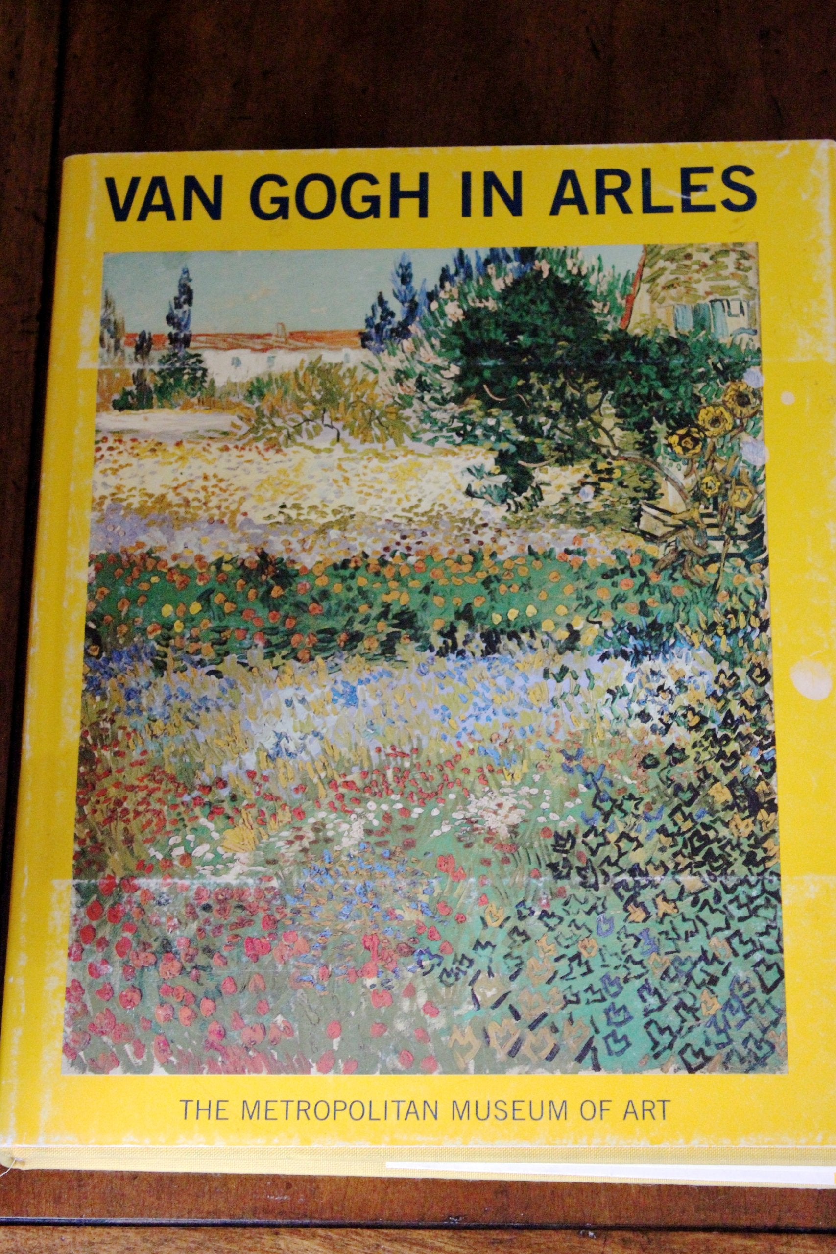 Van Gogh in Arles-Used Condition