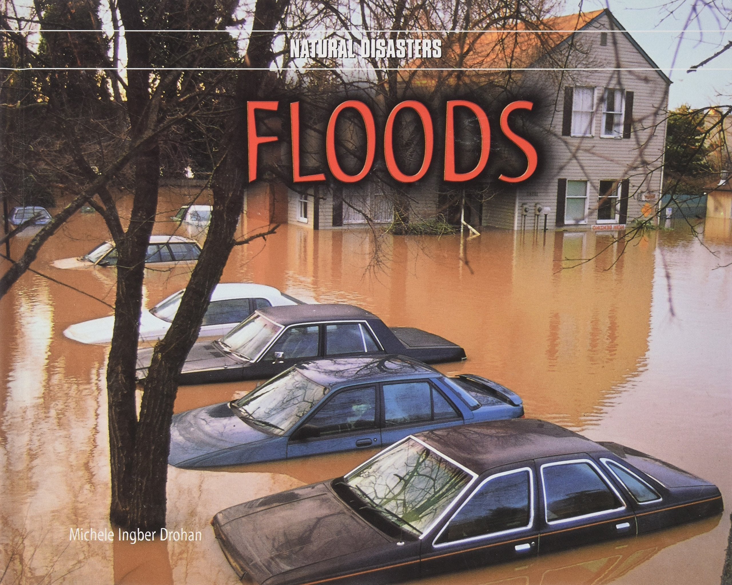 Floods (Natural Disasters),Used