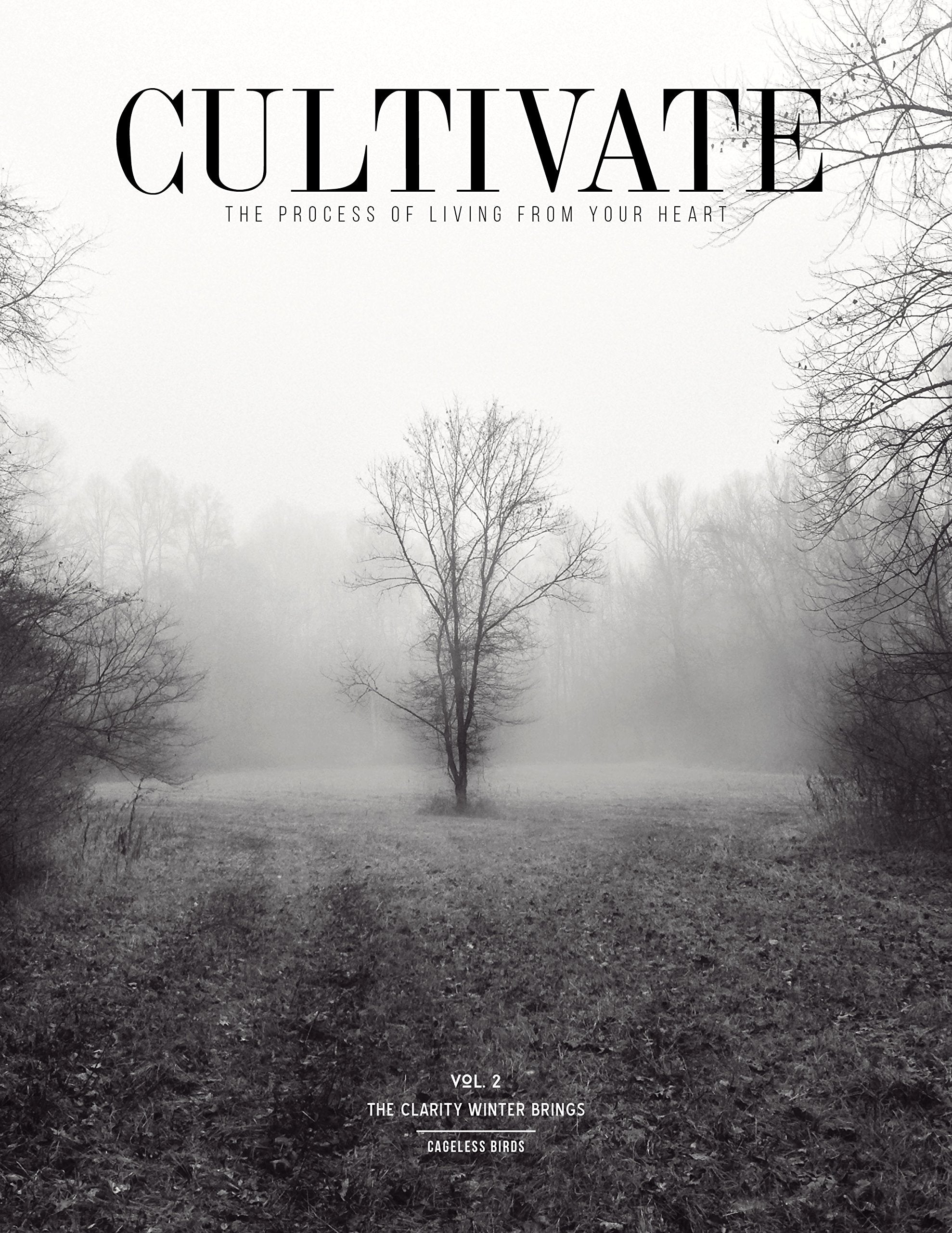 CULTIVATE VOL. II : The Clarity Winter Brings
