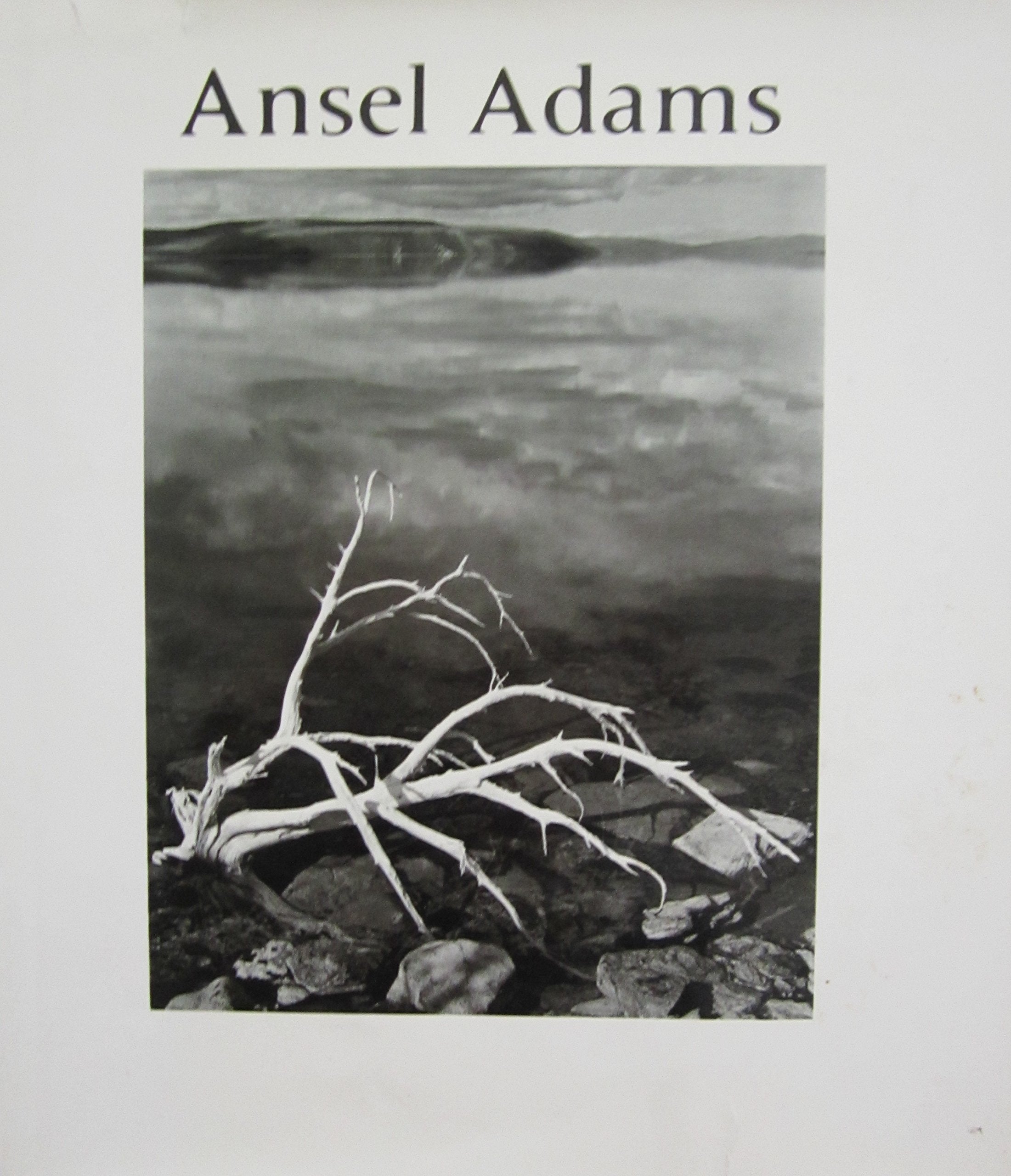 Ansel Adams,New