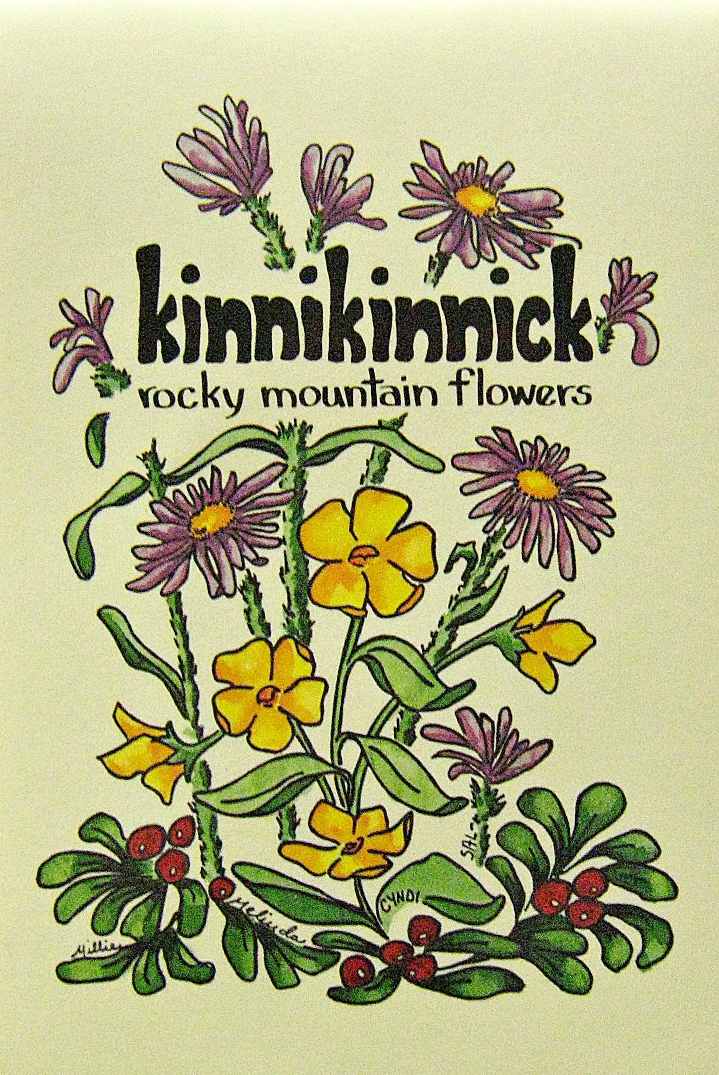 Kinnikinnick: The Mountain Flower Book,Used