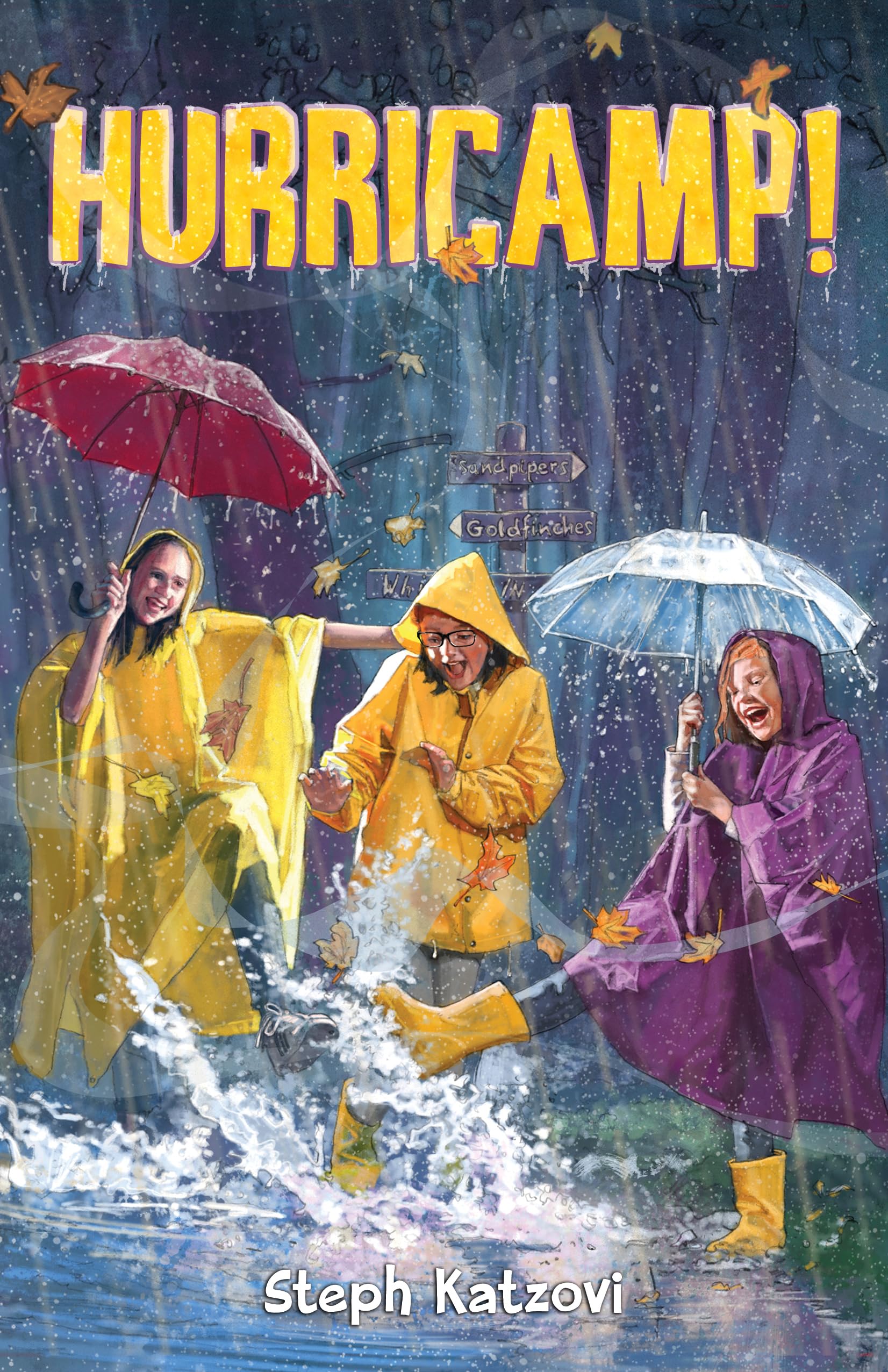 Hurricamp! (Camp Hillside),Used