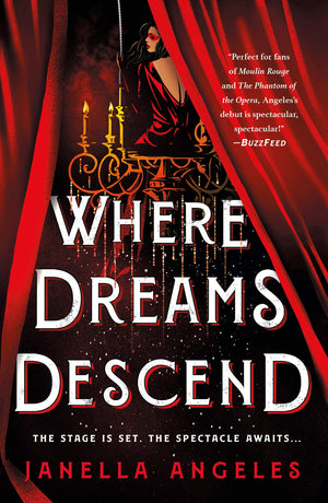 Where Dreams Descend (Kingdom of Cards, 1),Used