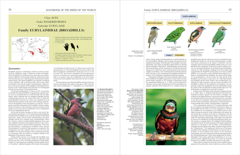 Handbook Of The Birds Of The World, Vol. 8: Broadbills To Tapaculos