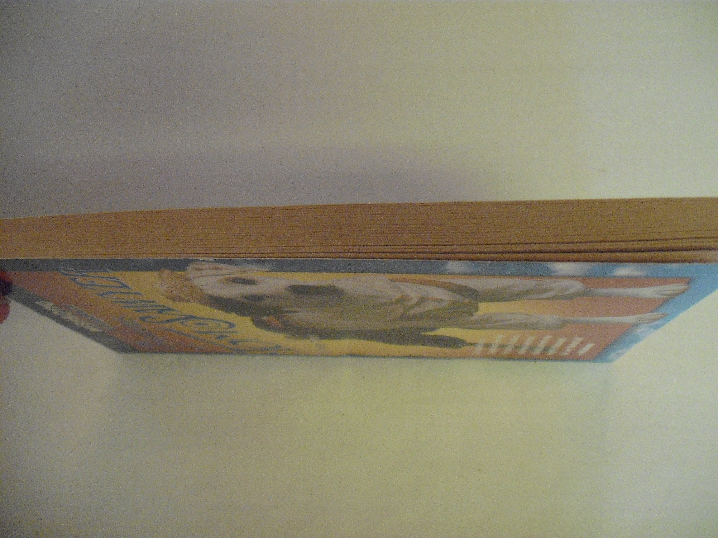 Wishbone Classic #11 Adv of Tom Sawyer (Wishbone, 11),Used