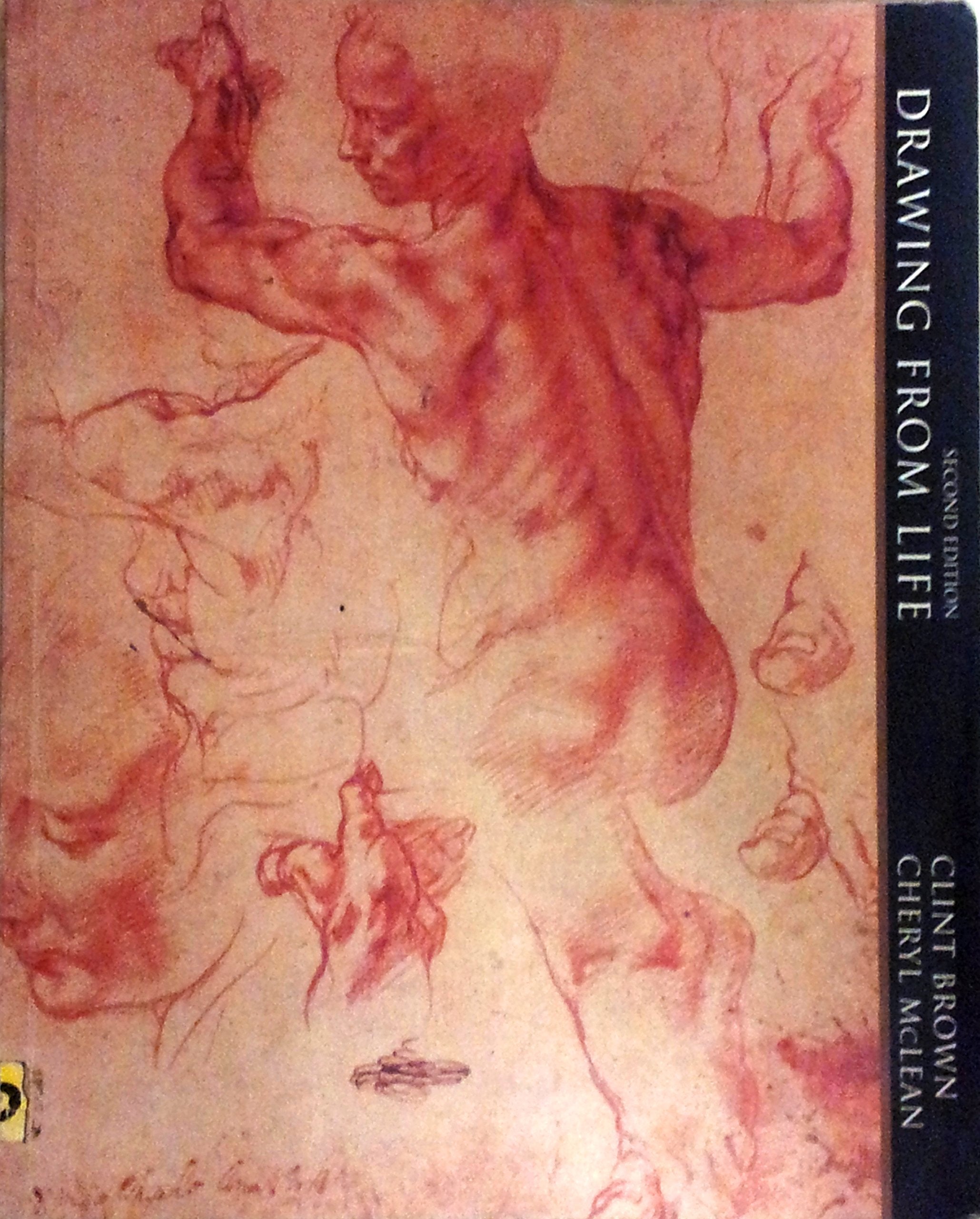 Drawing From Life-new,New