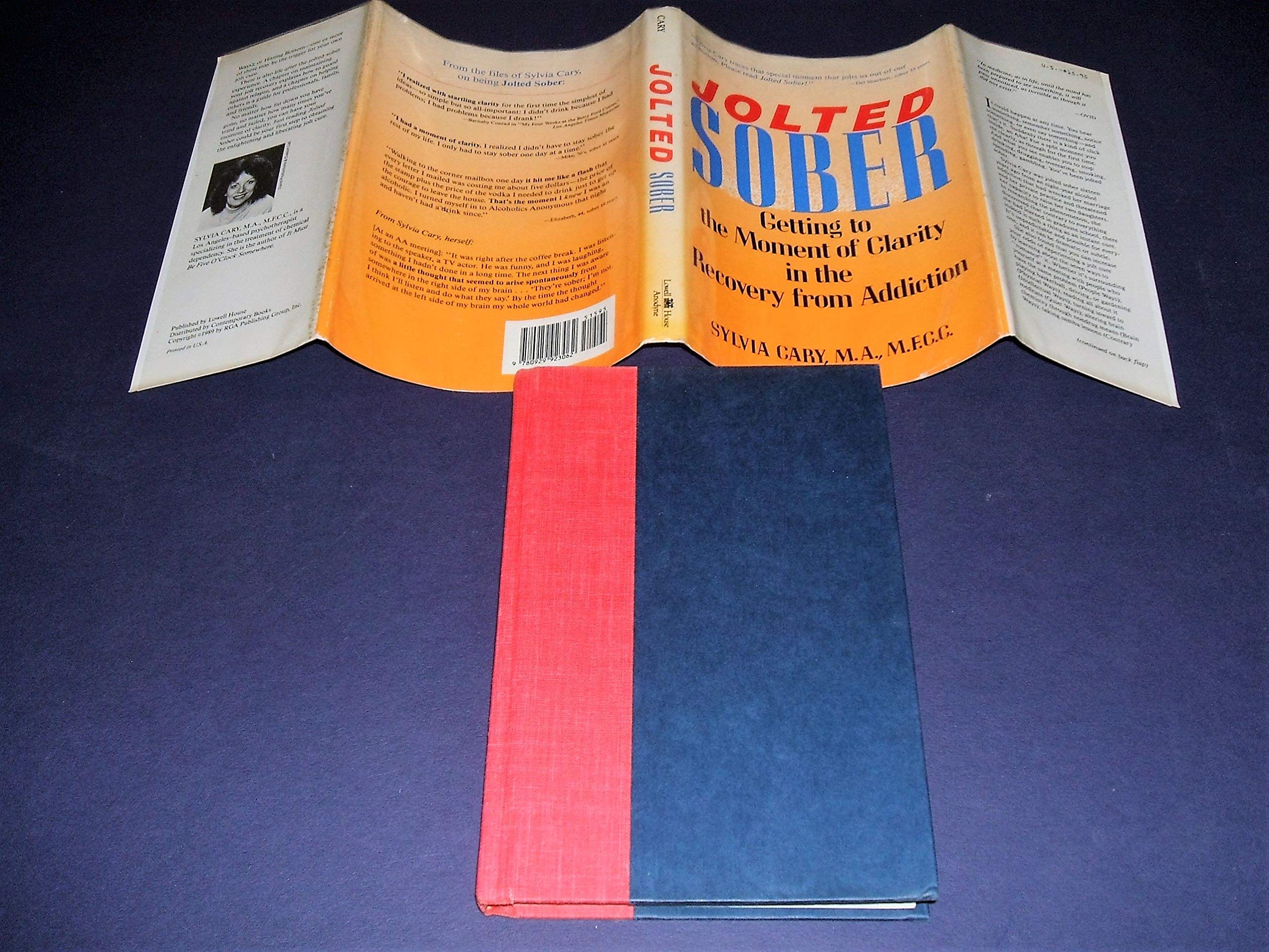 Jolted sober: Getting to the moment of clarity in the recovery from addiction,Used