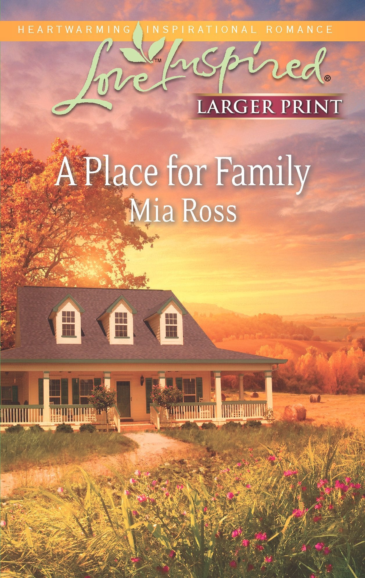 A Place for Family (Love Inspired LP),Used