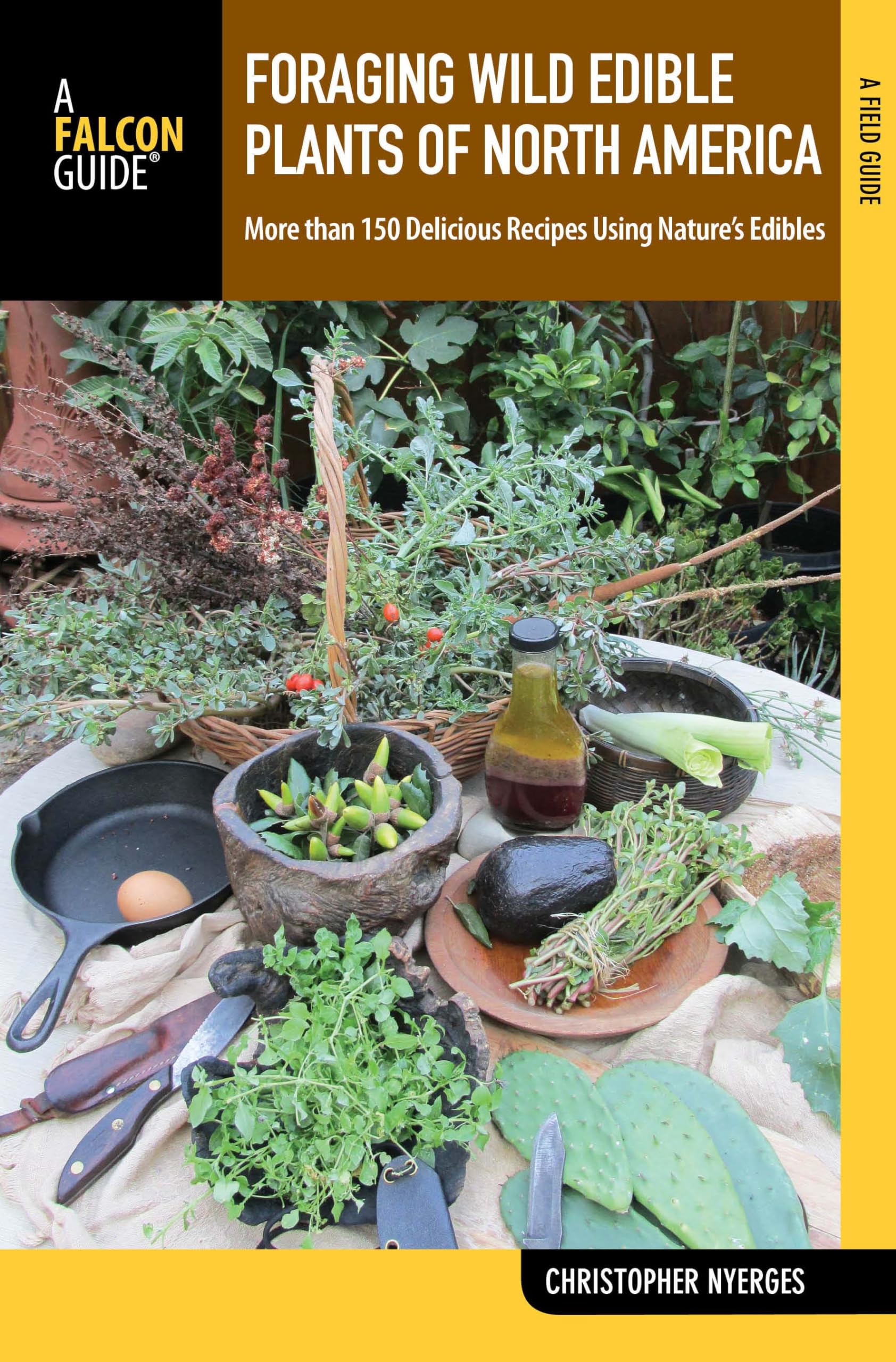 Foraging Wild Edible Plants Of North America: More Than 150 Delicious Recipes Using Nature'S Edibles (A Field Guide)