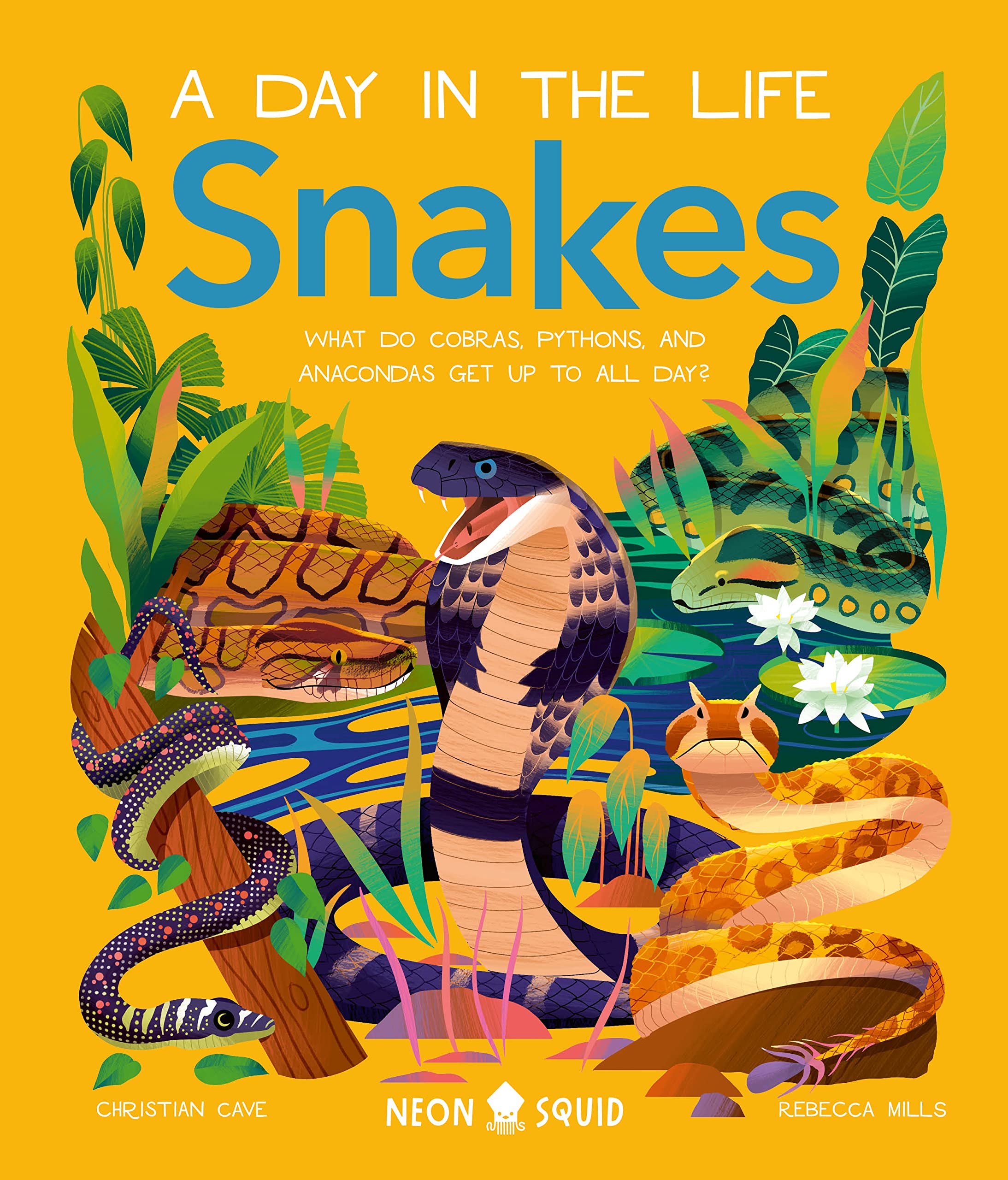 Snakes (A Day in the Life): What Do Cobras, Pythons, and Anacondas Get Up to All Day?,New