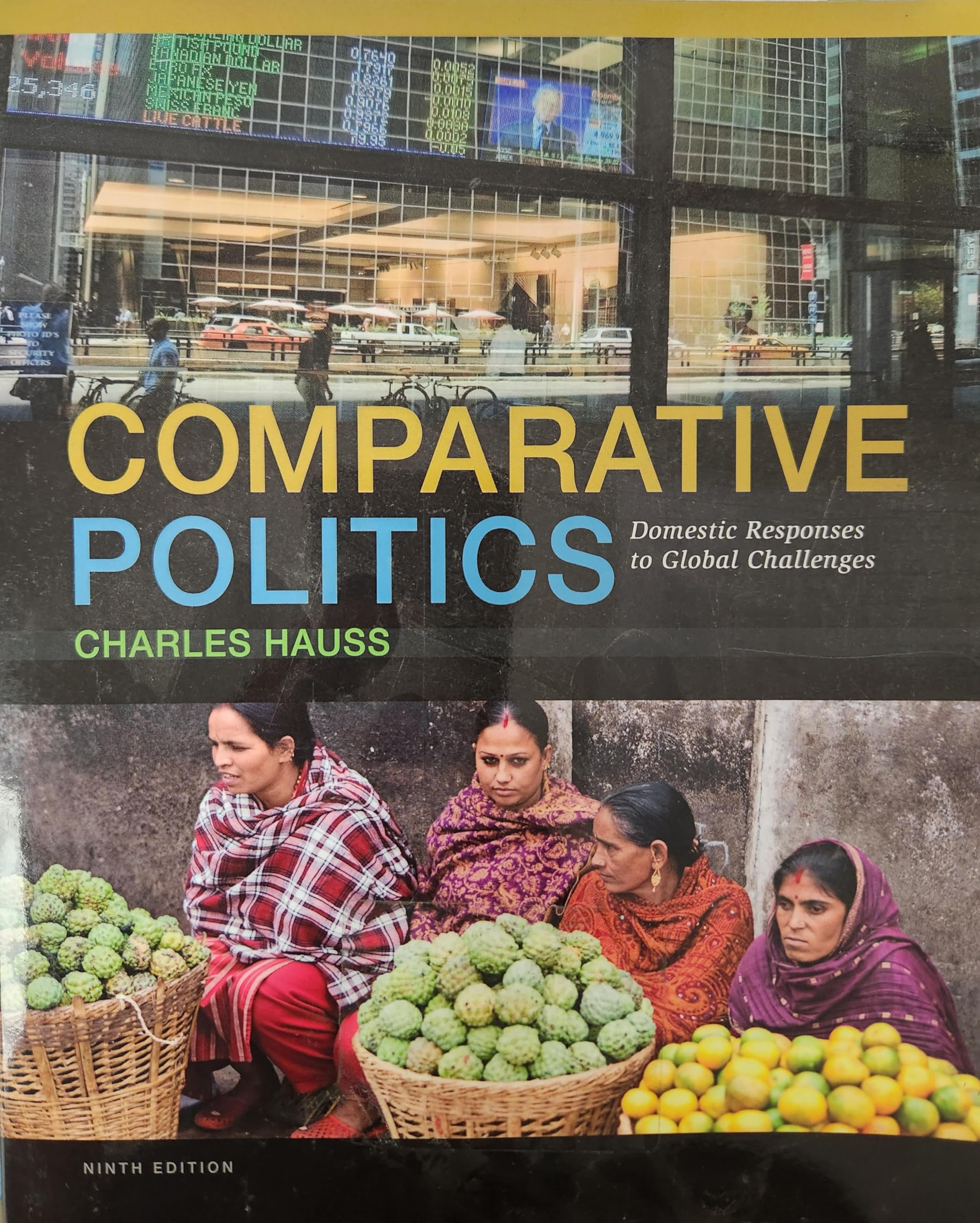 Comparative Politics: Domestic Responses to Global Challenges,New
