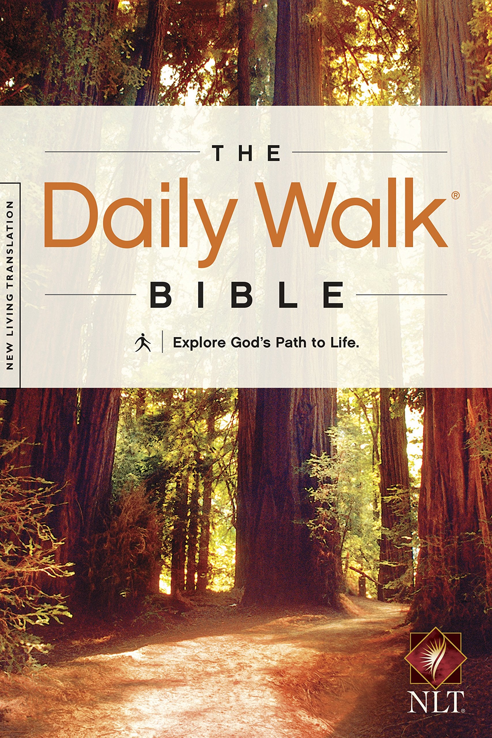 The Daily Walk Bible NLT (Softcover),Used