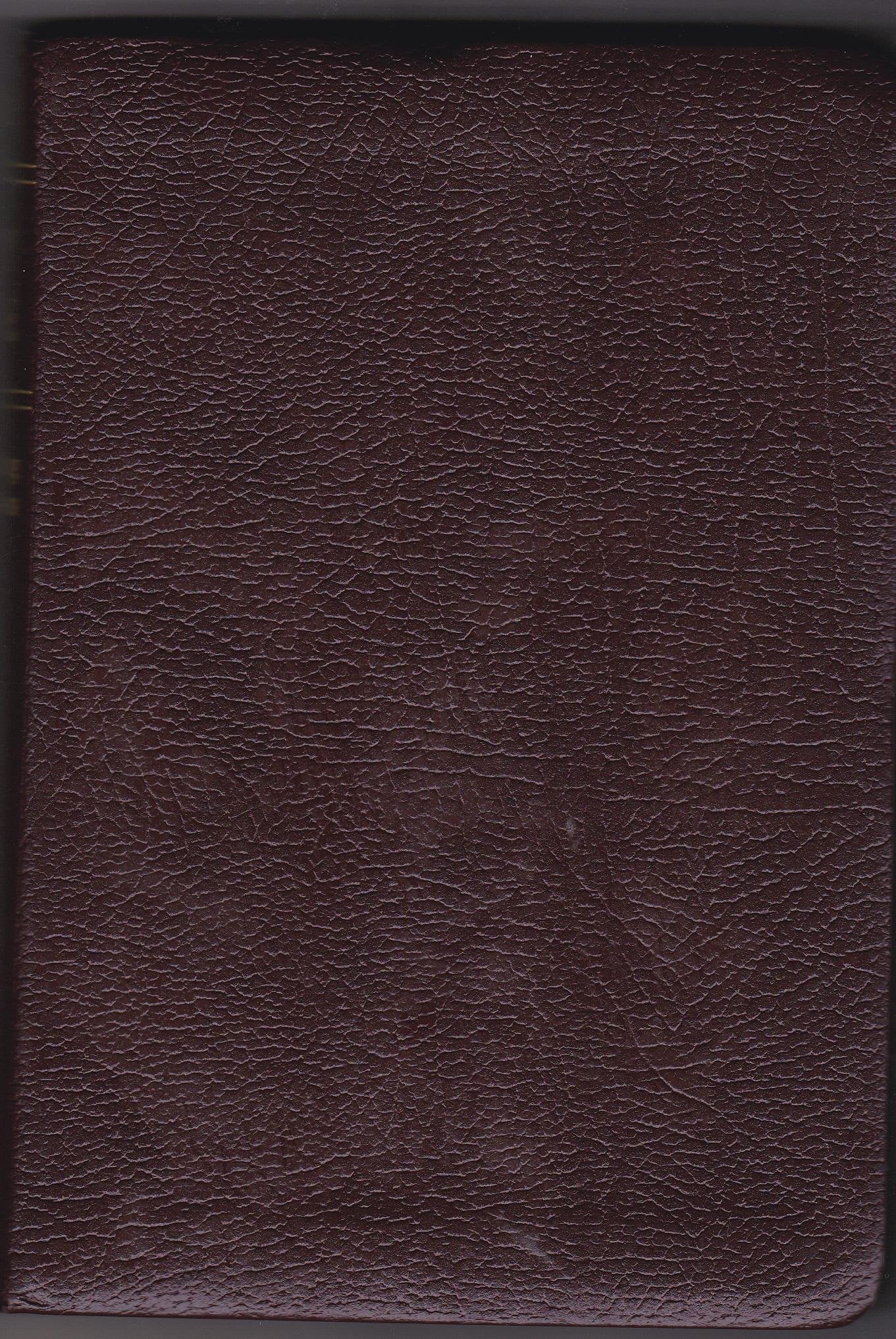 Compact Gift Bible Nlt (Bonded Leather, Burgundy/Maroon)