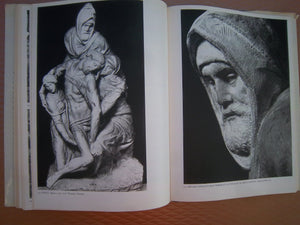 Michelangelo: Paintings, sculptures, architecture : complete edition,Used