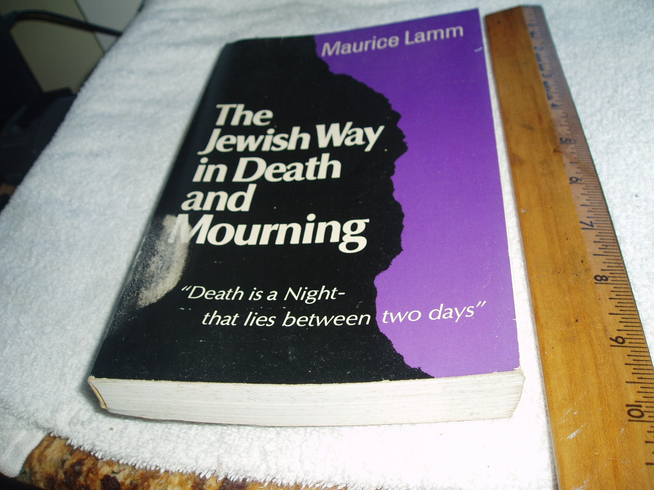 The Jewish Way In Death And Mourning (English And Hebrew Edition),Used