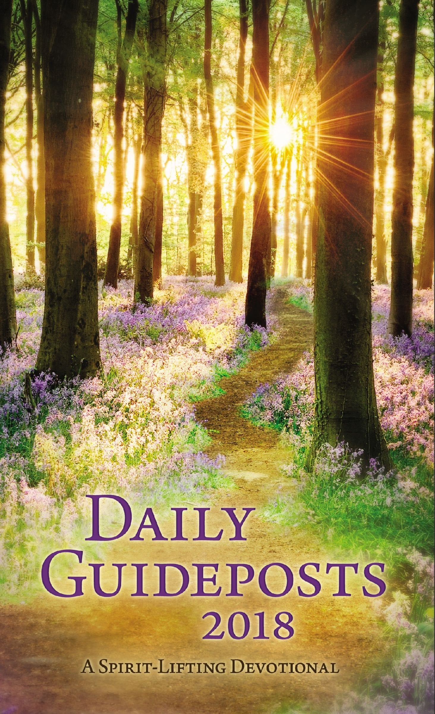 Daily Guideposts 2018: A SpiritLifting Devotional,Used