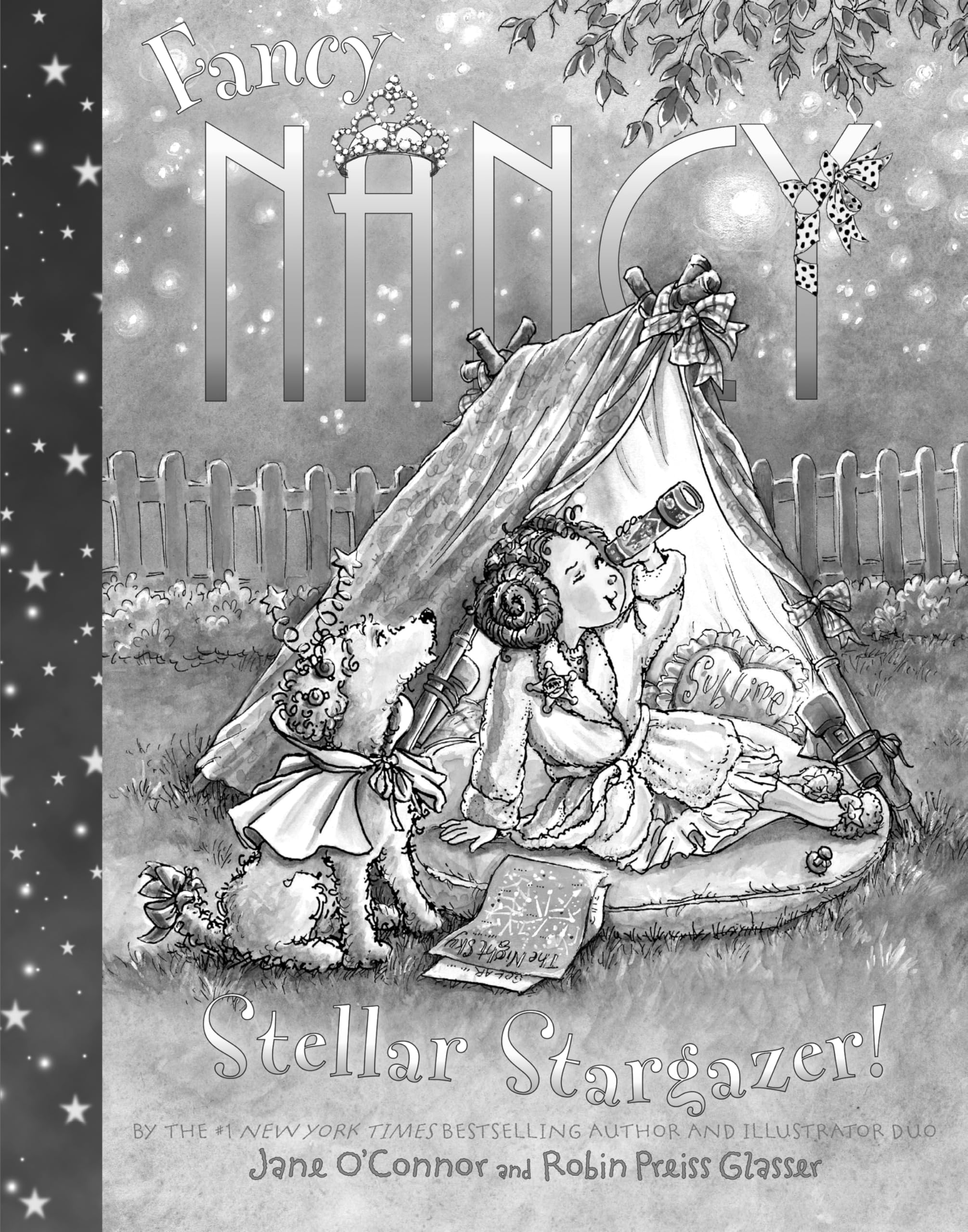 Fancy Nancy: Stellar Stargazer!,Used