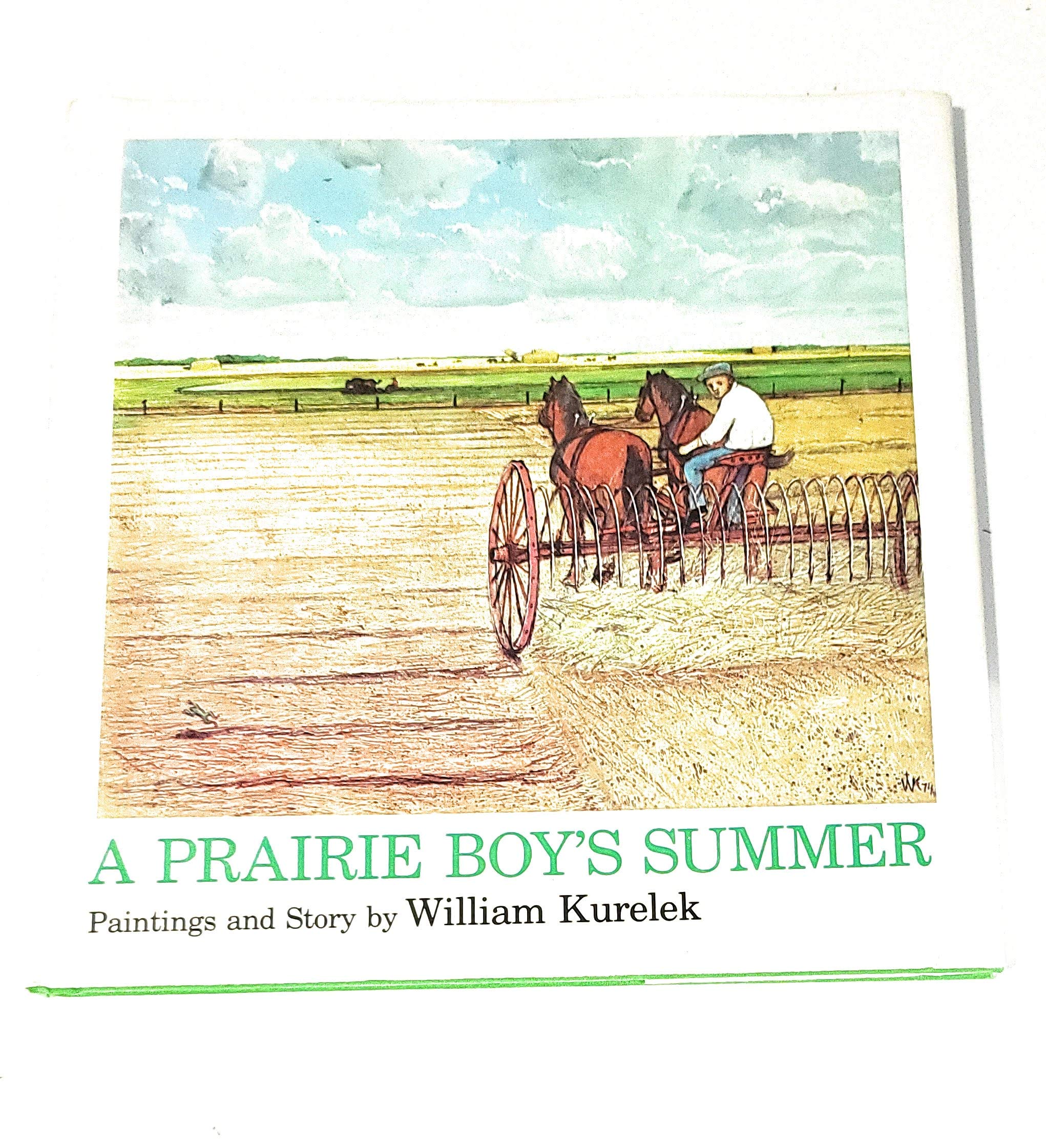 A Prairie Boys Summer-used