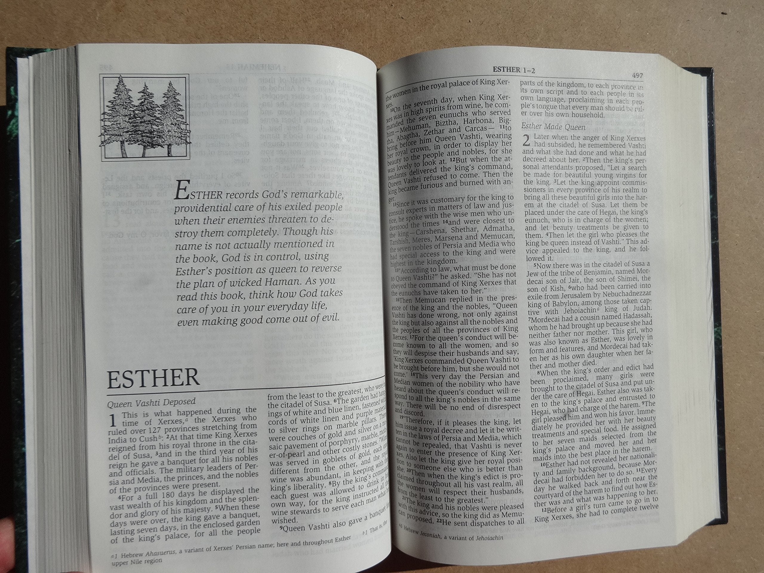 NIV Men's Devotional Bible: New International Version,Used