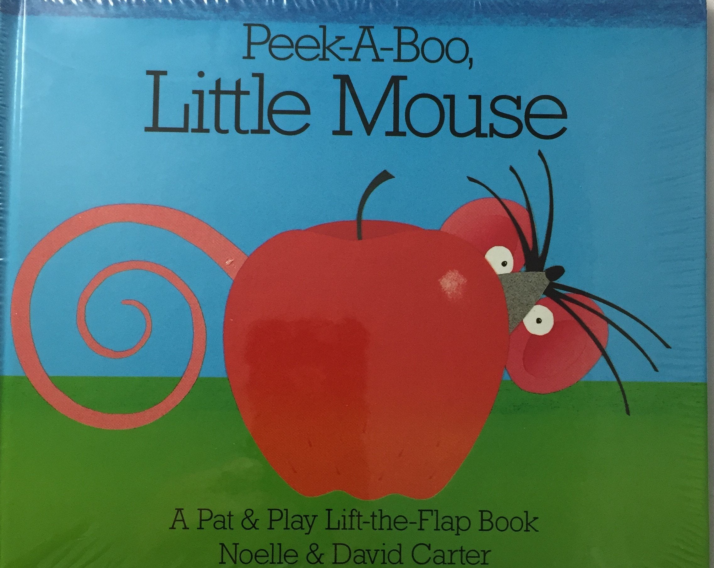PeekABoo, Little Mouse (Pat & Play LiftTheFlap Book),Used