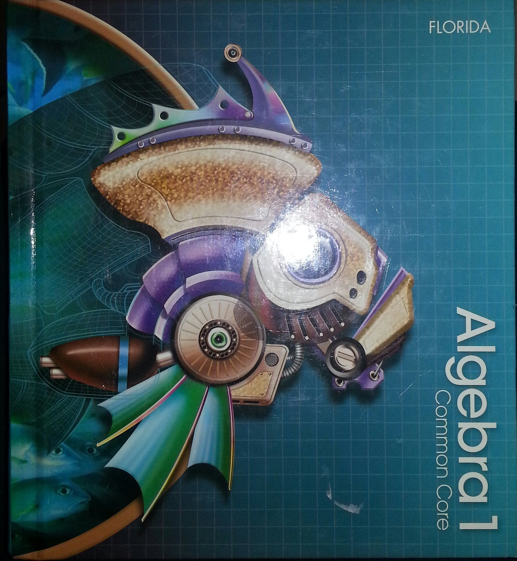 Algebra I Florida,Used