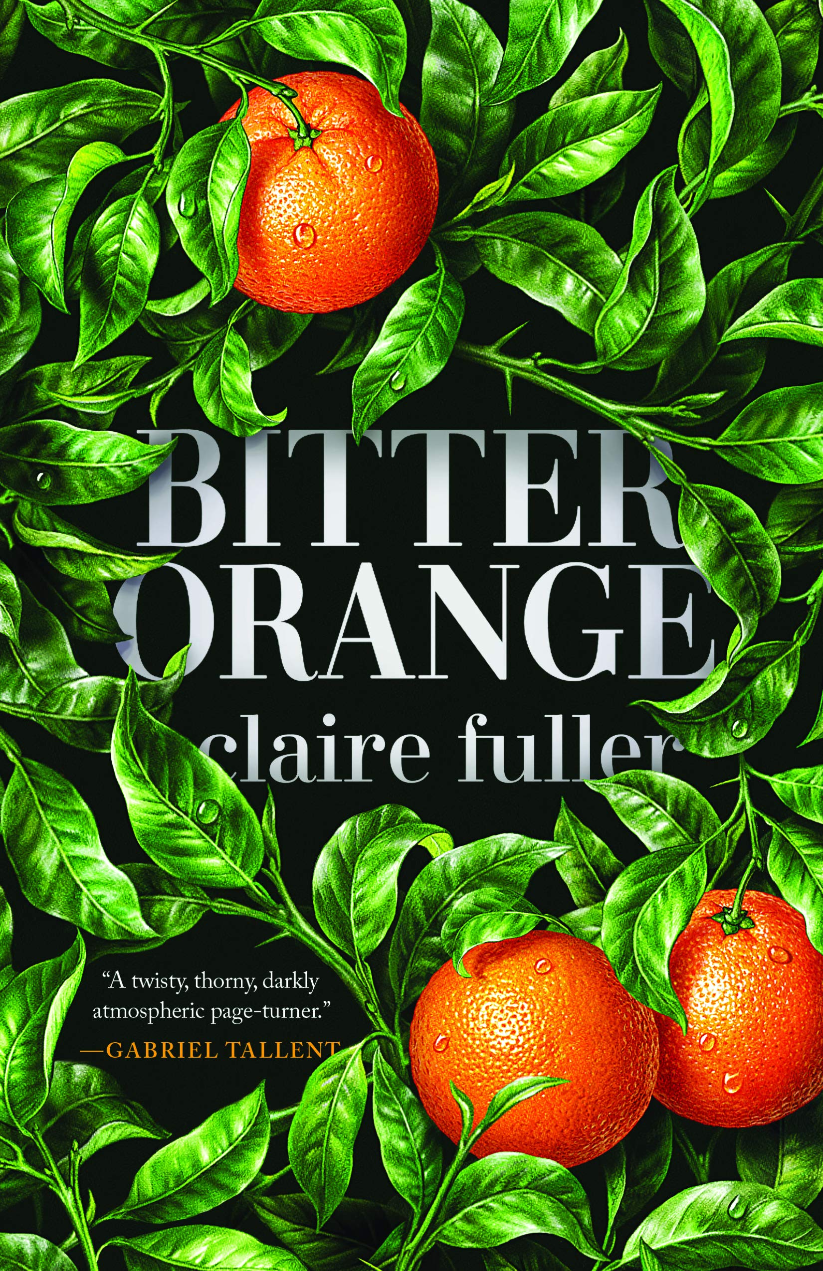 Bitter Orange (Thorndike Press Large Print Reviewers' Choice),Used