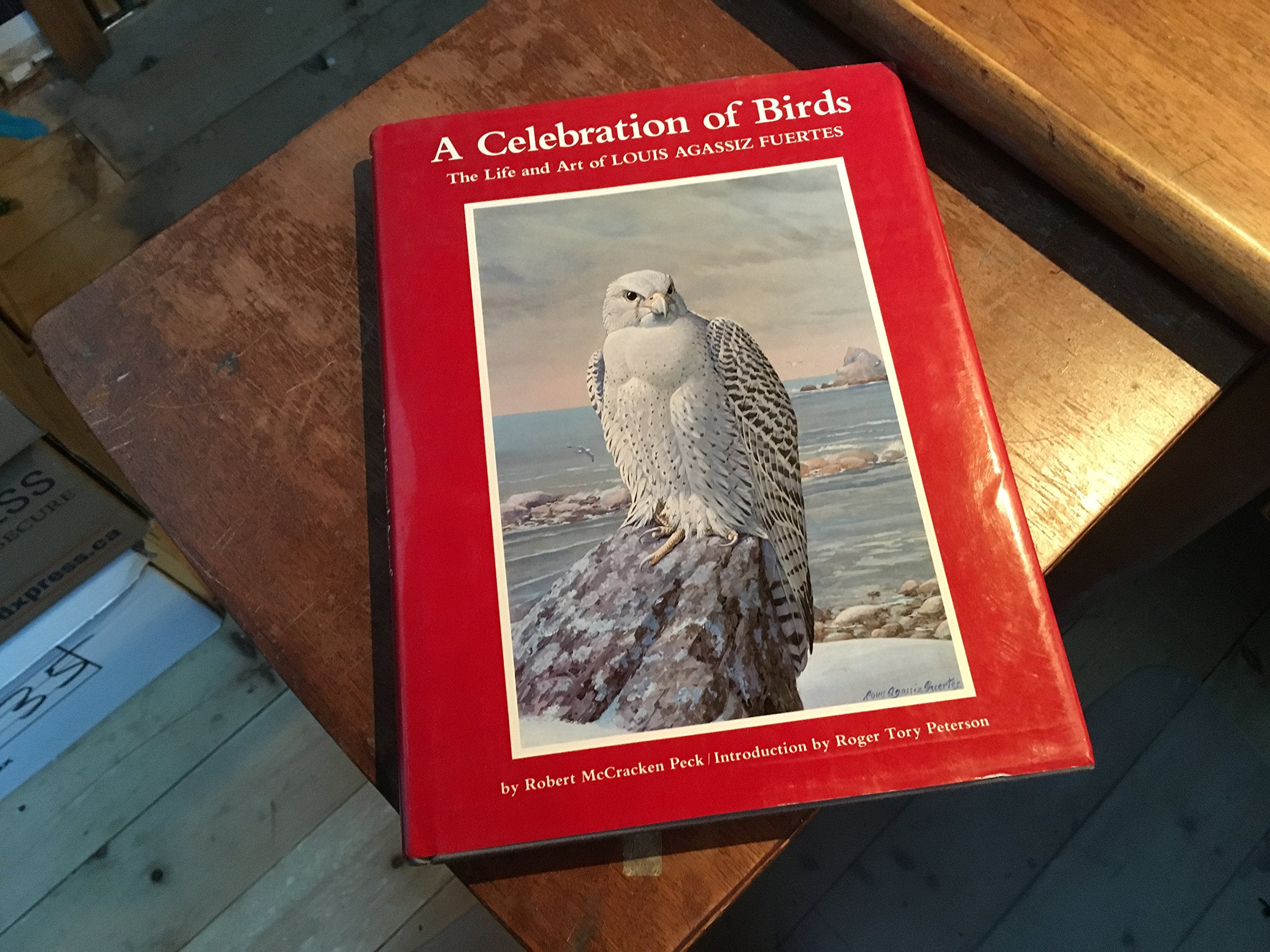 A Celebration of Birds: The Life and Art of Louis Agassiz Fuertes,Used