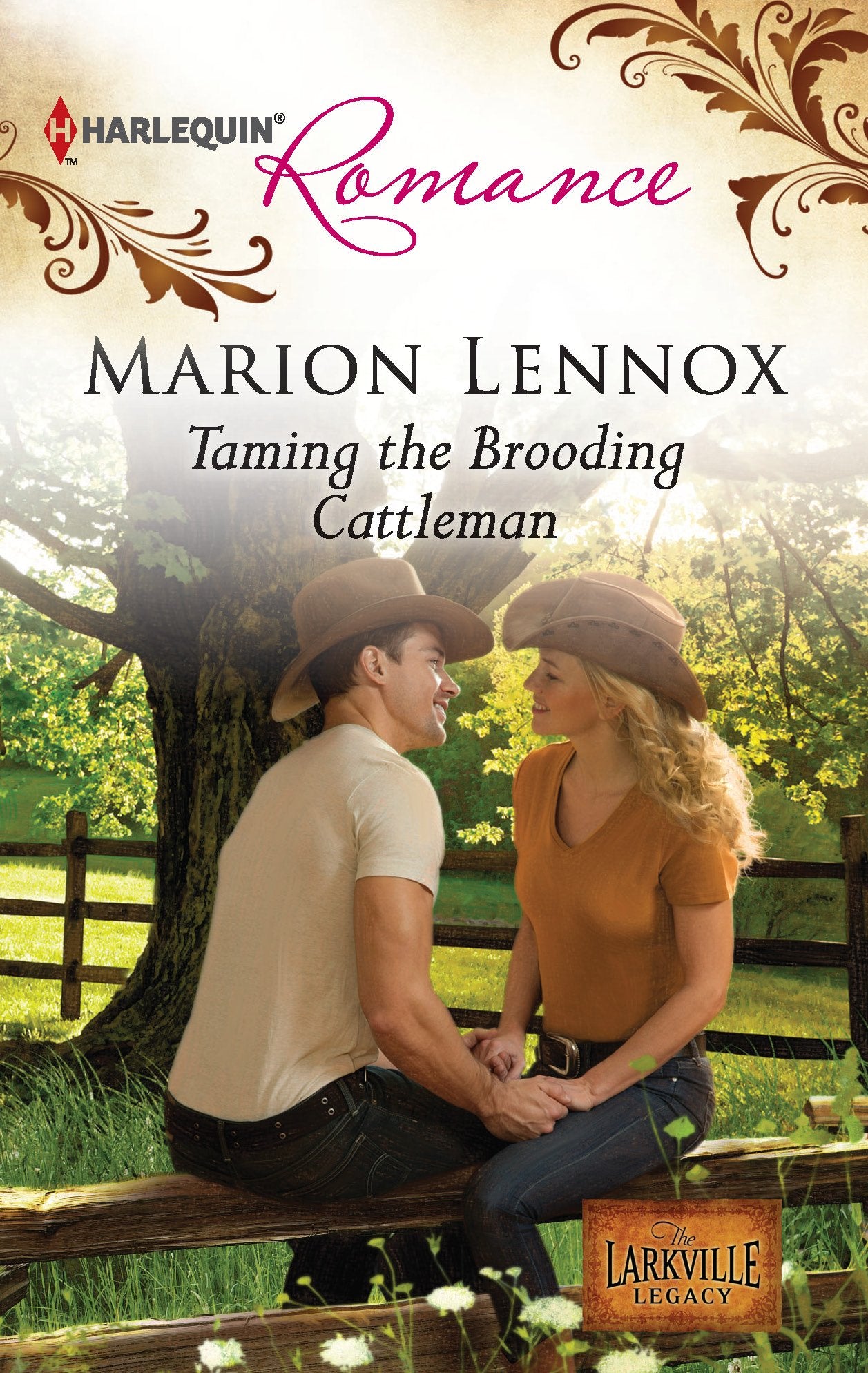 Taming the Brooding Cattleman,Used