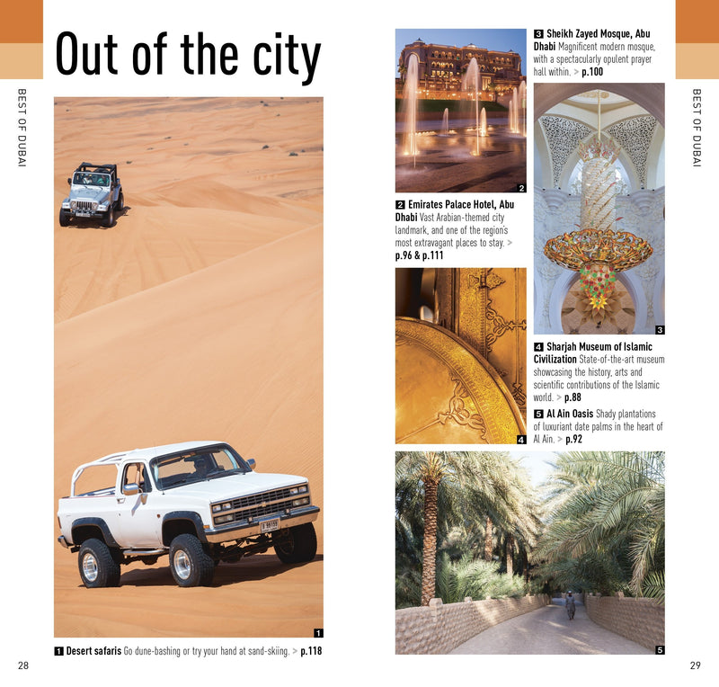 Pocket Rough Guide Dubai (Pocket Rough Guides),Used