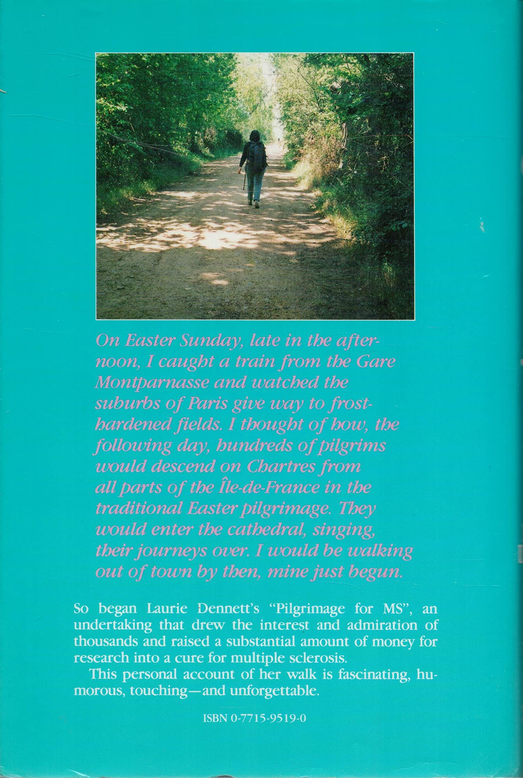 A Hug For The Apostle : On Foot From Chartres To Santiago De Compostela,Used