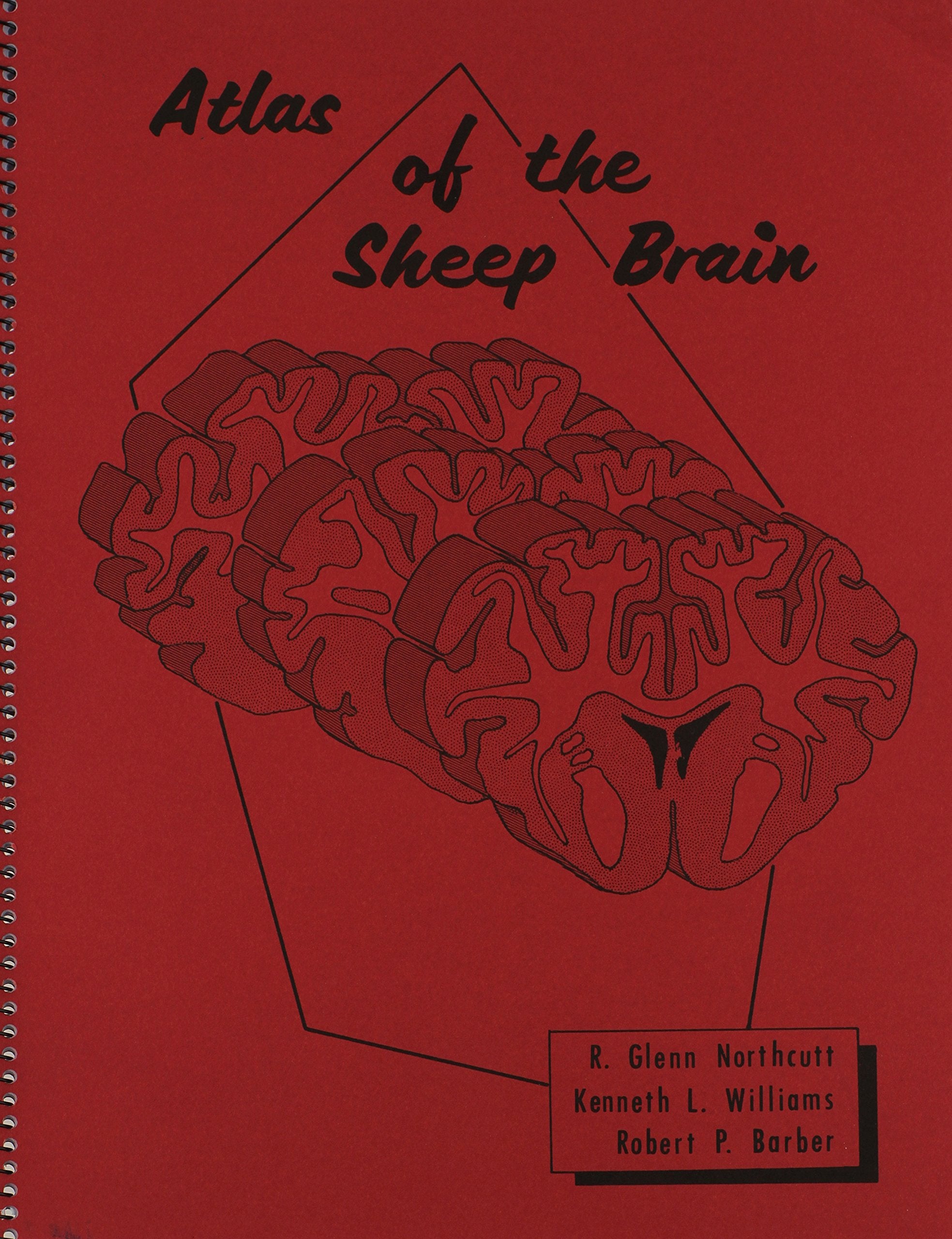 Atlas Of The Sheep Brain-new