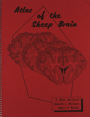 Atlas Of The Sheep Brain-new