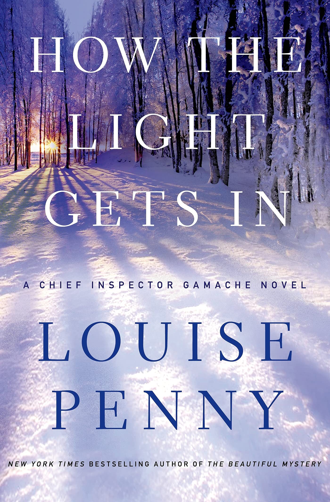 How the Light Gets In: A Chief Inspector Gamache Novel (Chief Inspector Gamache Novel, 9),Used