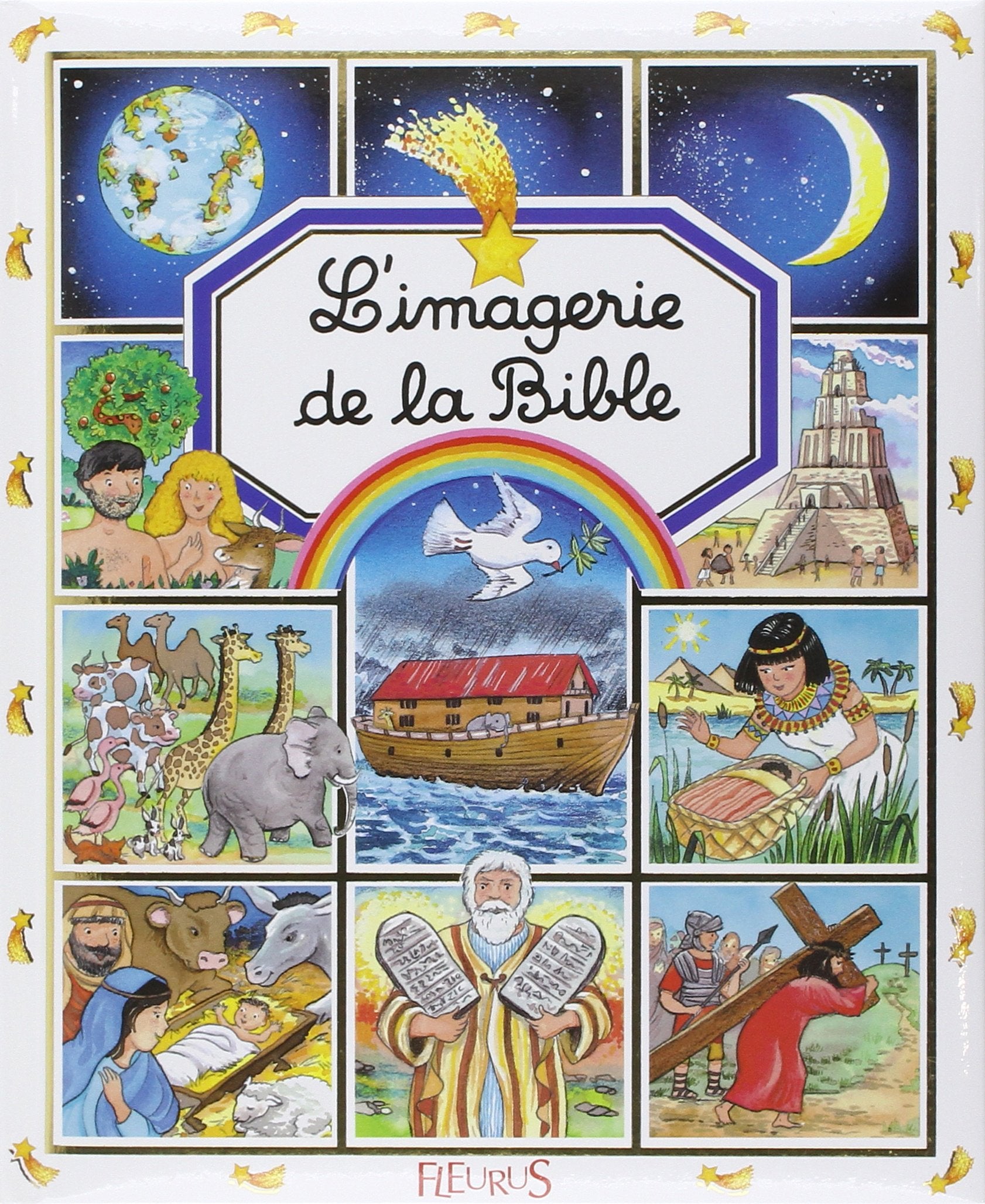 BIBLE,Used
