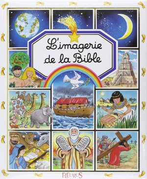 BIBLE,Used