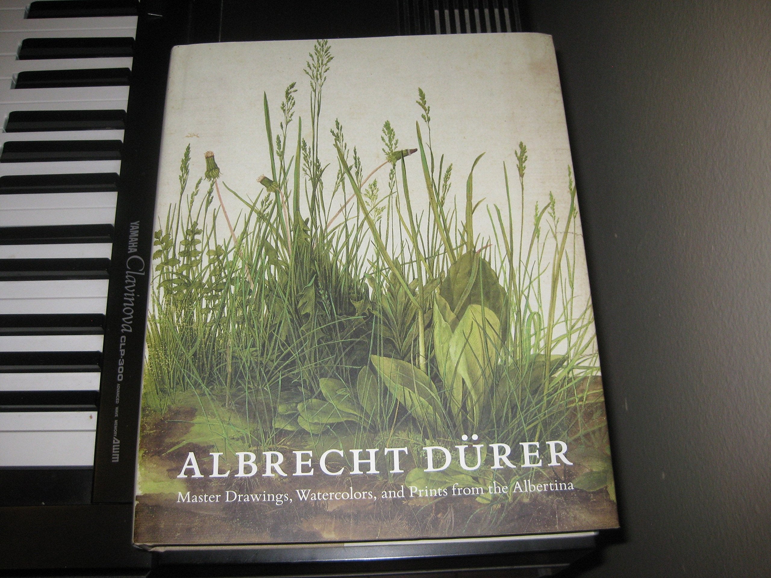 Albrecht Drer: Master Drawings, Watercolors, and Prints from the Albertina,Used
