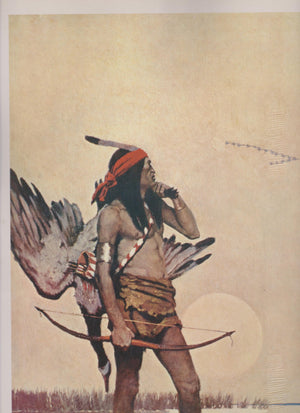 50 Great American Illustrators,Used