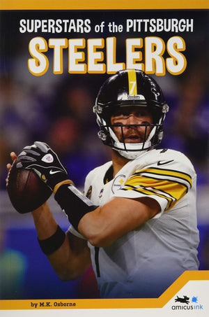 Pittsburgh Steelers (Pro Sports Superstars?NFL),Used