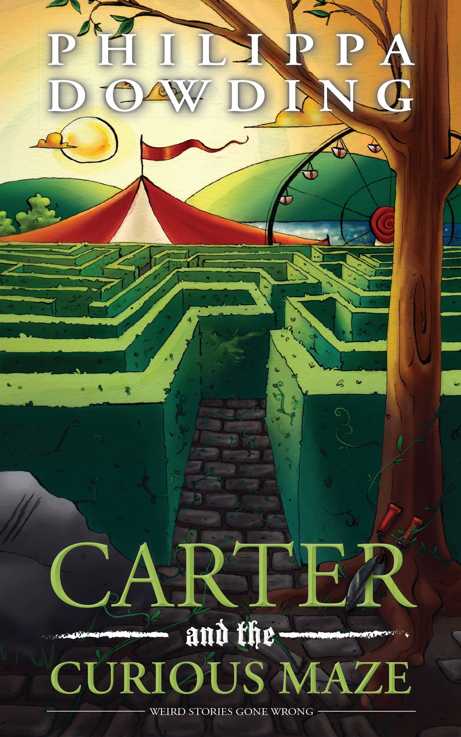 Carter and the Curious Maze: Weird Stories Gone Wrong (Weird Stories Gone Wrong, 3),Used