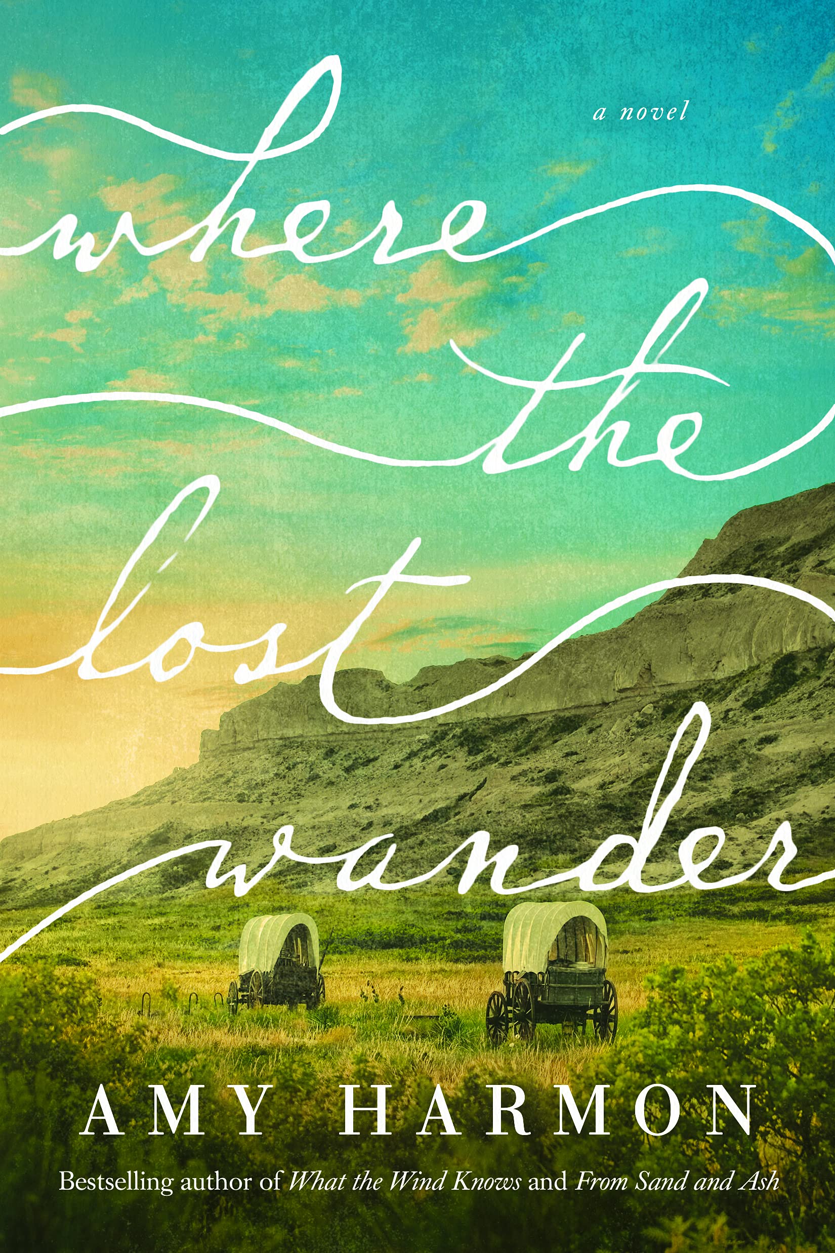 Where the Lost Wander: A Novel,Used