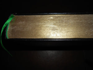 Wicked / Son of a Witch,Used