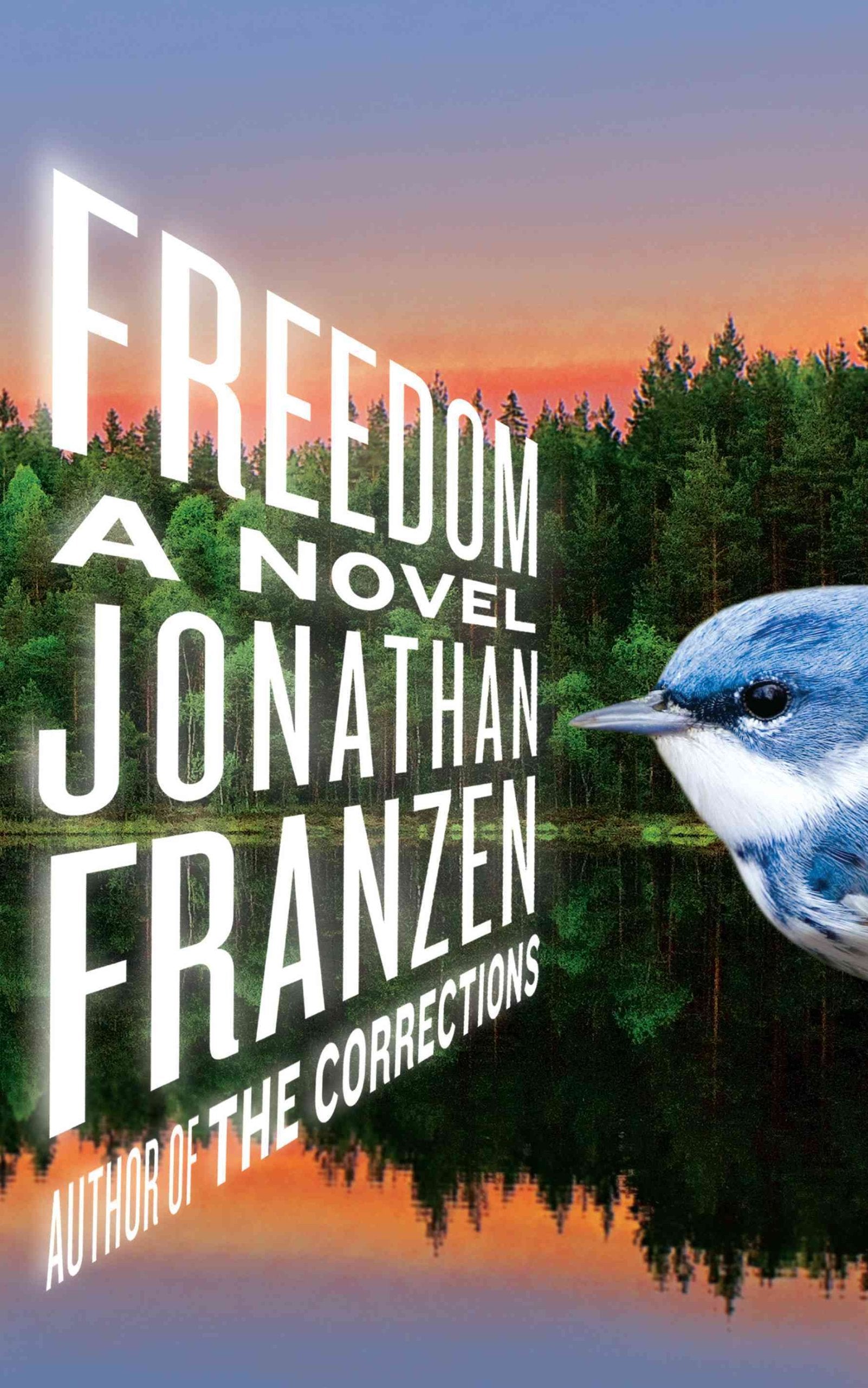 Freedom (Thorndike Press Large Print Basic Series),Used