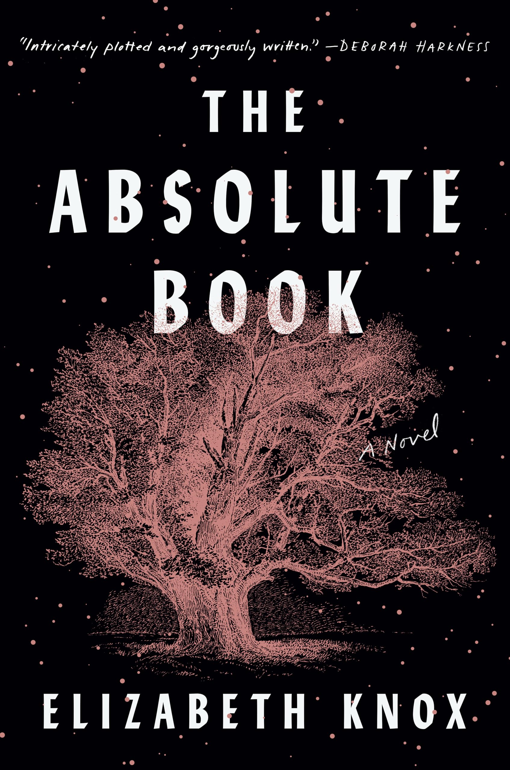 The Absolute Book: A Novel